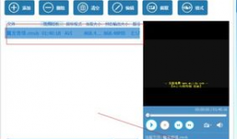 怎么转换视频格式,视频格式转换攻略