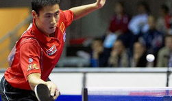 王励勤乒乓球比赛视频,精彩瞬间回顾